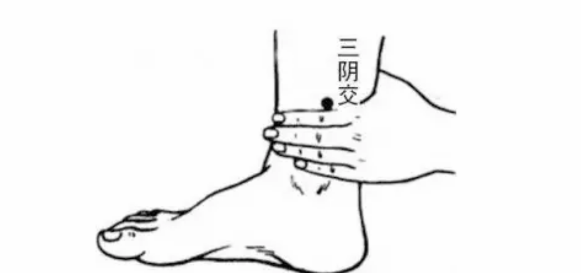 三伏天減肥怎么艾灸 2018三伏天艾灸減肥穴位原理方法 三伏天減肥怎么艾灸 2018三伏天艾灸減肥穴位原理方法