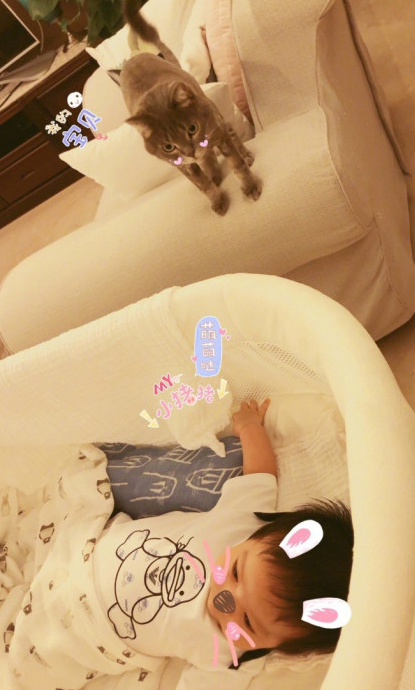 李佳航李晟兒子小名叫什么 lucky哥哥和好看弟弟