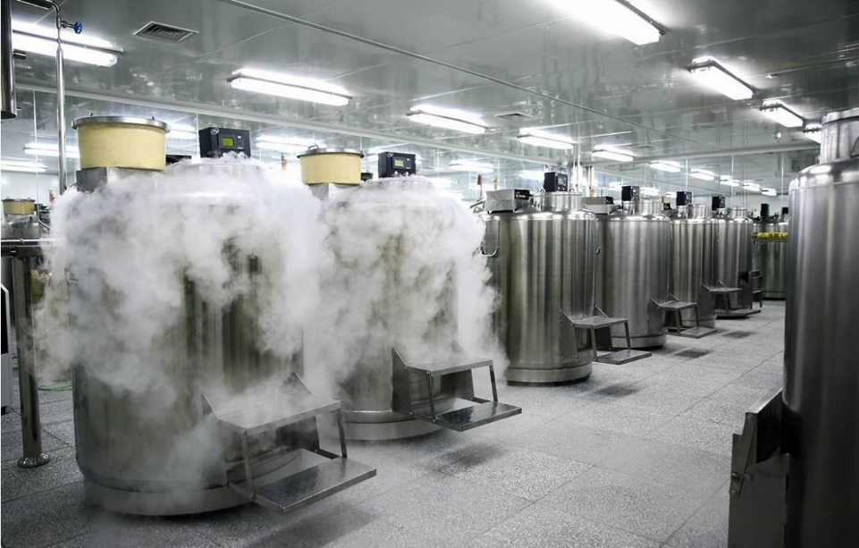 如何辦理臍帶血保存手續 生孩子存臍帶血應該怎么保存