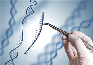 人工授精的促排卵和試管嬰兒一樣嗎 人工授精的促排卵和試管嬰兒區別