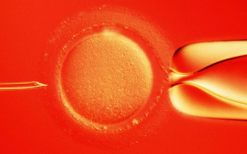 人工授精的促排卵和試管嬰兒一樣嗎 人工授精的促排卵和試管嬰兒區別