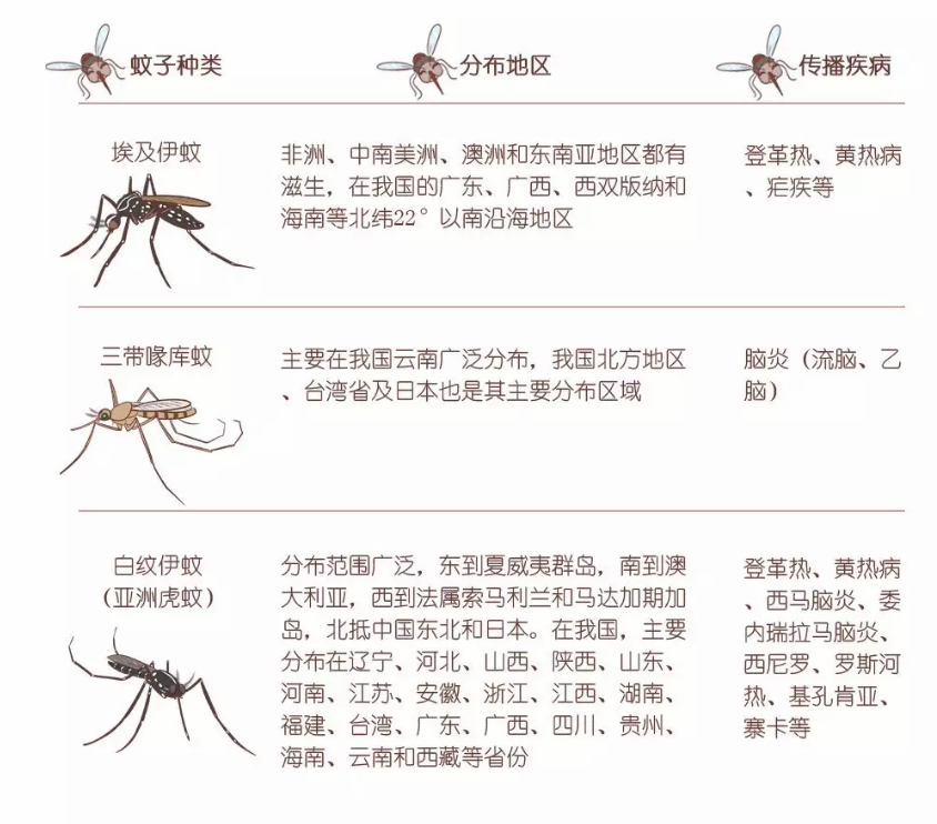 孕期驅蚊需要注意什么 孕婦防蚊怎么做