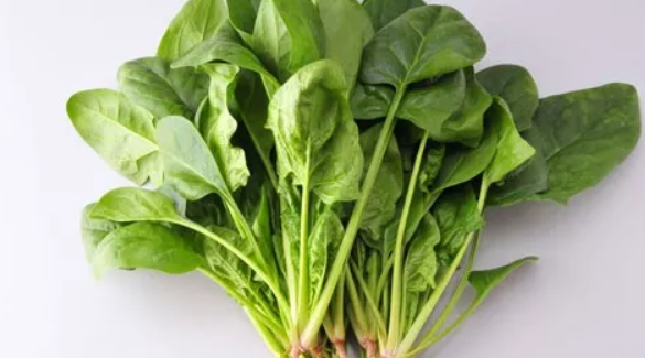 吃綜合維生素會葉酸過量嗎 懷孕怎么看吃葉酸有沒有超標2018