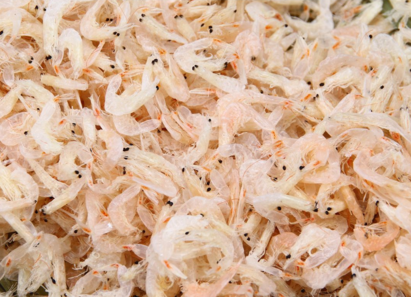 孩子吃蝦皮補鈣嗎 孩子怎么吃蝦皮比較補鈣2018 孩子吃蝦皮補鈣嗎 孩子怎么吃蝦皮比較補鈣2018