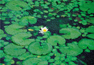 適合夏季下雨天發(fā)朋友圈的話 2018梅雨季的感慨心情說(shuō)說(shuō)