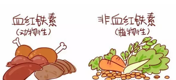 懷孕就要開始補鐵嗎2018 為什么孕婦容易貧血