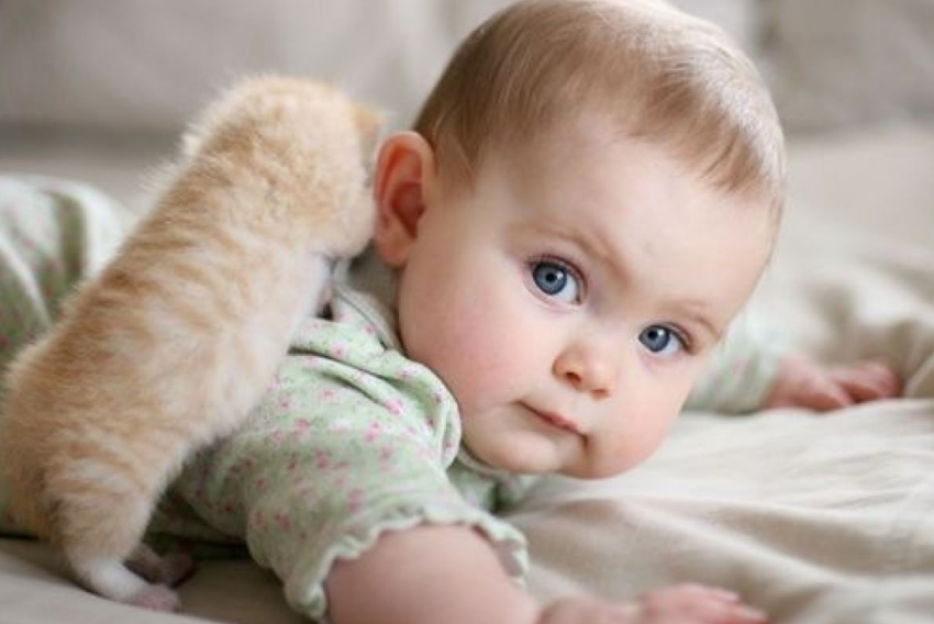 寶寶便秘的危害是什么 寶寶便秘會(huì)有哪些影響2018