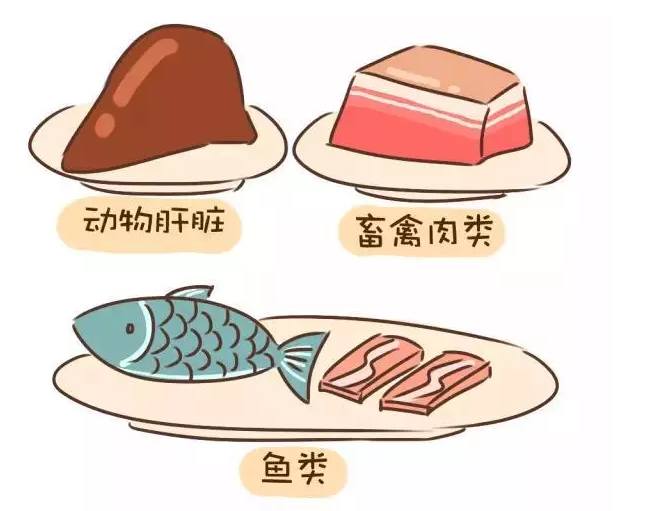 懷孕的時候缺鐵怎么補 準媽媽如何合理的補鐵2018