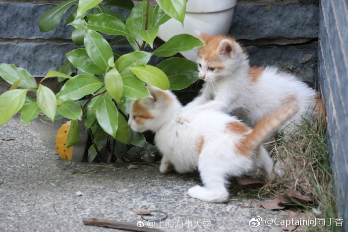 2018今日小暑說說朋友圈圖片 今日小暑句子早安心情