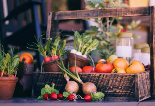 孕期為什么要補充DHA 孕婦從哪些食物中獲取DHA