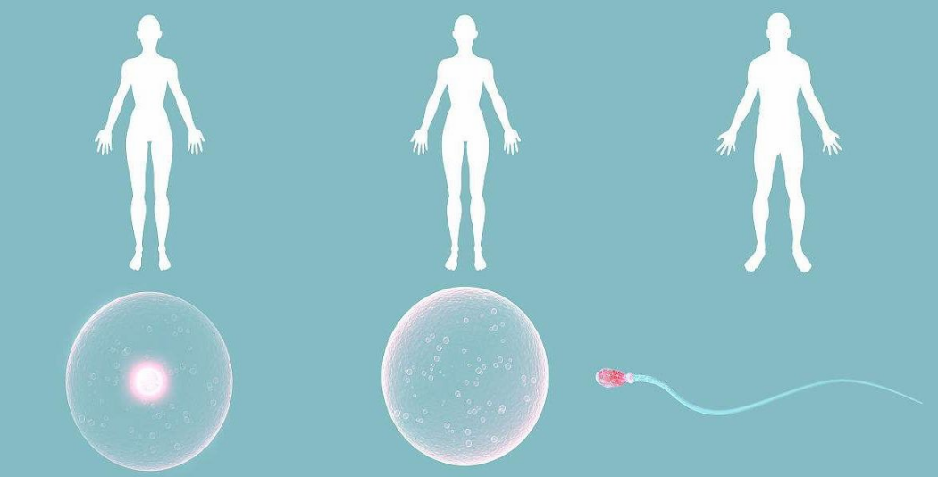 三五年沒生孩子什么原因 哪些因素造成不孕