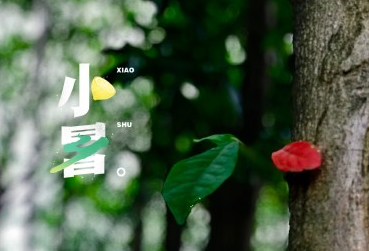 2018今日小暑配圖句子說說朋友圈 今日小暑節(jié)氣心情說說短語