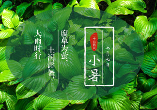 2018今日小暑配圖句子說說朋友圈 今日小暑節氣心情說說短語