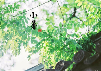 2018今日小暑怎么發朋友圈配文 形容小暑節氣的句子心情說說