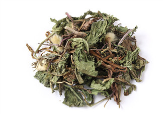 蒲公英減肥多久見效 減肥能長期吃蒲公英嗎2018