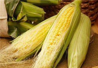 玉米須治療膽結石怎么喝 玉米須新鮮的好還是干的好 玉米須治療膽結石怎么喝 玉米須新鮮的好還是干的好