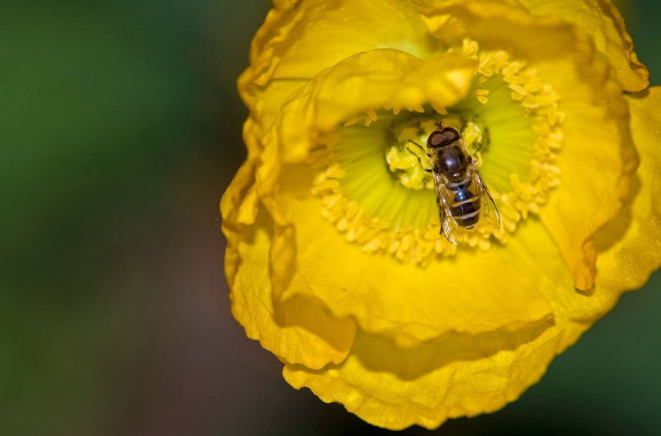 怎么培養(yǎng)孩子的上進(jìn)心 孩子對學(xué)習(xí)沒有上進(jìn)心怎么辦