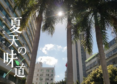 盛夏聽蟬鳴的說說句子圖片 描寫蟬鳴的唯美句子心情 盛夏聽蟬鳴的說說句子圖片 描寫蟬鳴的唯美句子心情