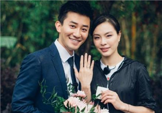 吳敏霞懷孕幾個月了 吳敏霞懷的男孩還是女孩