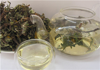 寶寶濕氣重可以喝蒲公英嗎 哪些人不宜用蒲公英去濕氣2018