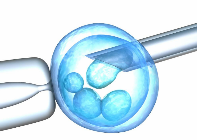 試管嬰兒移植成功后如何保胎 試管嬰兒胚胎植入后到成功懷孕前不能亂動身體嗎 試管嬰兒移植成功后如何保胎 試管嬰兒胚胎植入后到成功懷孕前不能亂動身體嗎