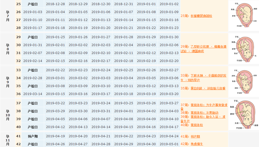 末次月經7月12日預產期是什么時候 末次月經后多久可以確定懷孕