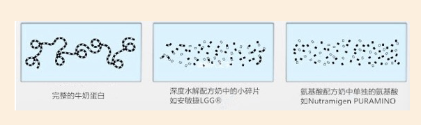 什么是水解蛋白奶粉 常規(guī)配方奶粉和低敏配方奶粉區(qū)別