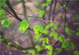 暑假在家被媽嫌棄的心情說說 放假在家被嫌棄的句子感慨