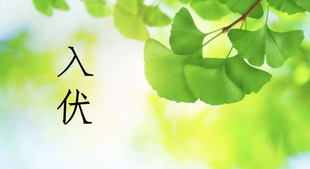 三伏天來了的心情說說 描寫盛夏入伏的句子短語