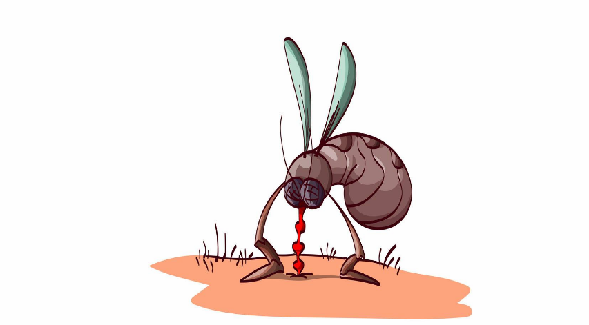 驅蚊用物理還是化學方法好 防蚊用品怎么使用