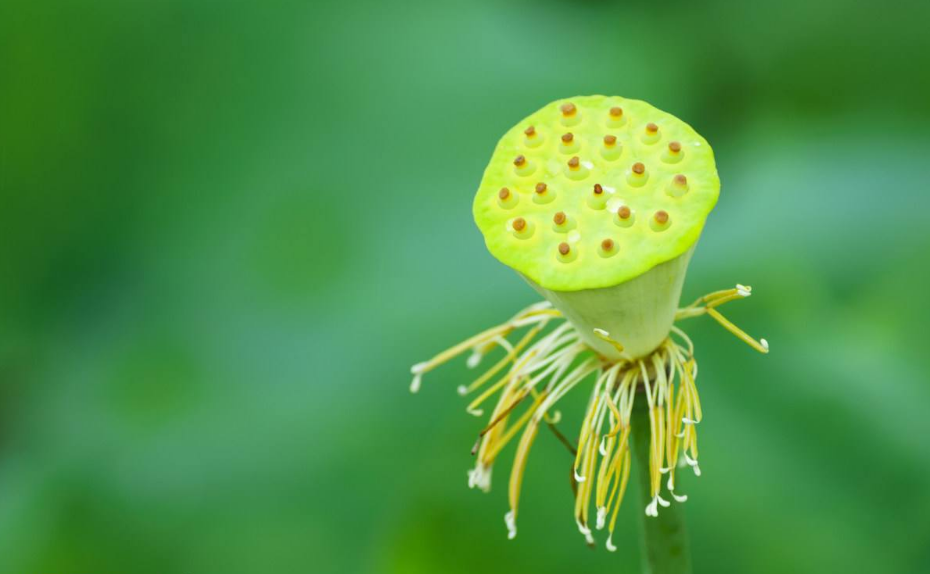 三伏天吃什么最好 三伏天天太熱了要注意什么2018 三伏天吃什么最好 三伏天天太熱了要注意什么2018