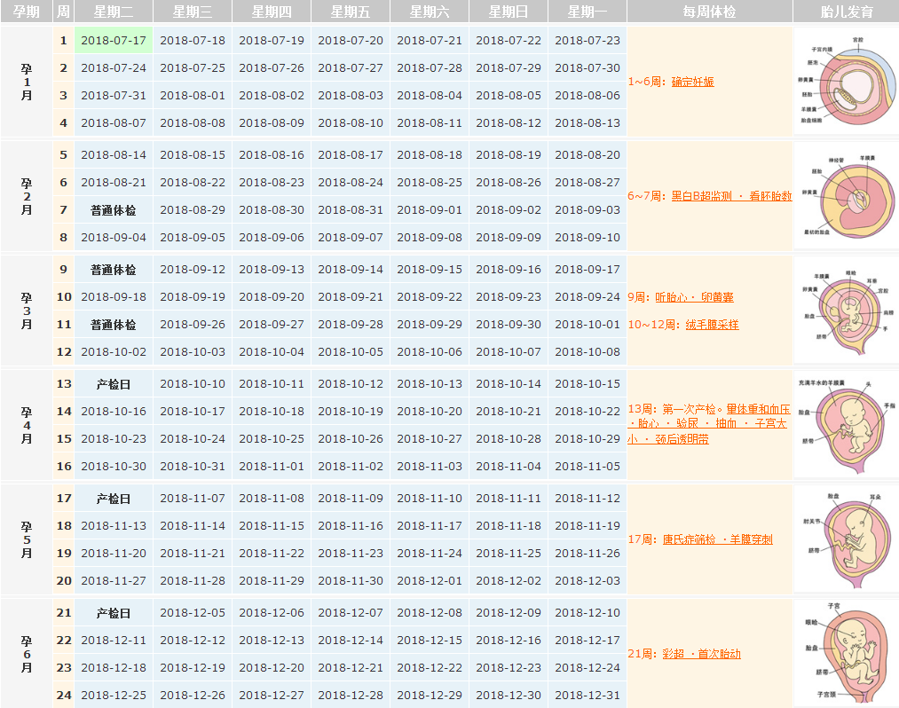 2018末次月經7月17日預產期是什么時候 末次月經7月17日推算產檢表 2018末次月經7月17日預產期是什么時候 末次月經7月17日推算產檢表
