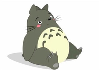 胖子過夏天怎么發(fā)朋友圈說說 胖子是沒有夏天的句子 胖子過夏天怎么發(fā)朋友圈說說 胖子是沒有夏天的句子