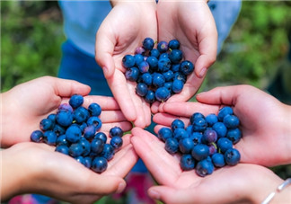 糖尿病人能吃藍(lán)莓嗎 如何避免吃了藍(lán)莓血糖高2018