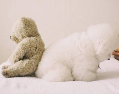 三伏天感冒怎么發(fā)朋友圈配文字 三伏天感冒的心情說說 