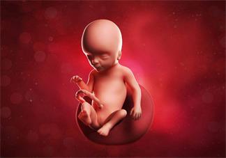 胎兒宮內缺氧會有哪些表現 胎兒宮內缺氧怎么做比較好