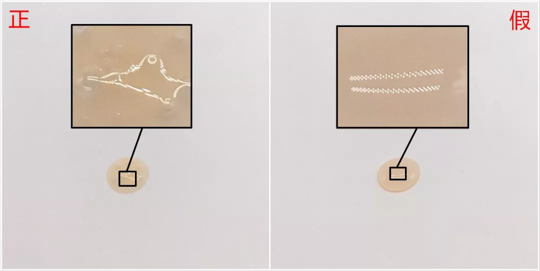 雅詩蘭黛小棕瓶精華真假對比 雅詩蘭黛小棕瓶真假圖片鑒別2018 雅詩蘭黛小棕瓶精華真假對比 雅詩蘭黛小棕瓶真假圖片鑒別2018