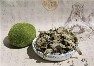 ?薰艾葉能止血保胎嗎 孕婦?薰艾葉好不好