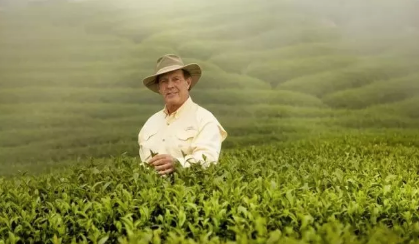 Young Living悠樂芳精油怎么樣 悠樂芳精油使用心得測評 Young Living悠樂芳精油怎么樣 悠樂芳精油使用心得測評