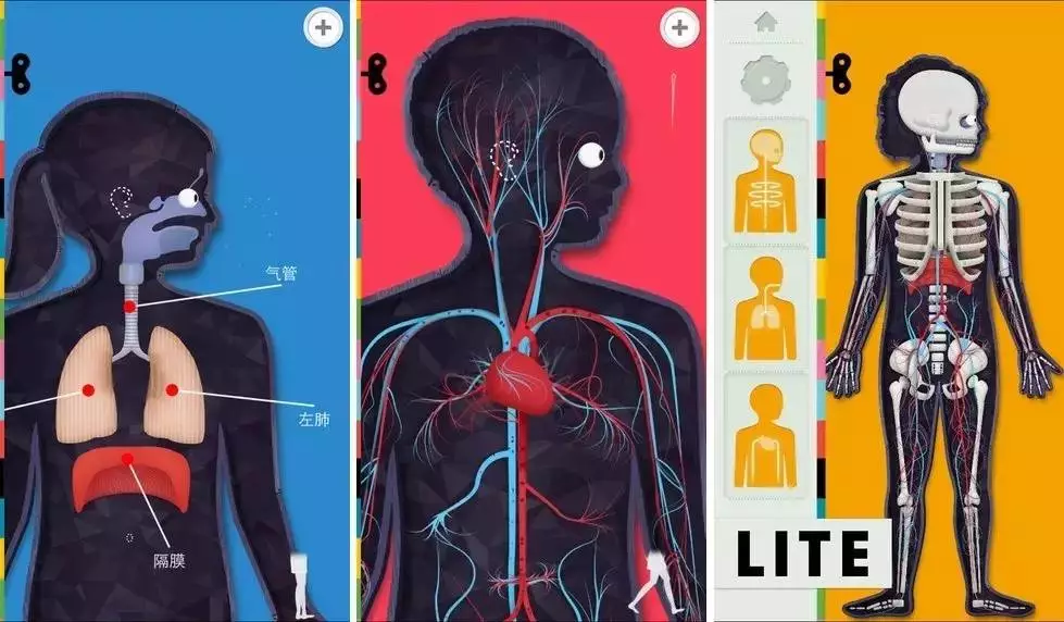 孩子喜歡在家玩手機怎么做 什么app適合孩子在家玩