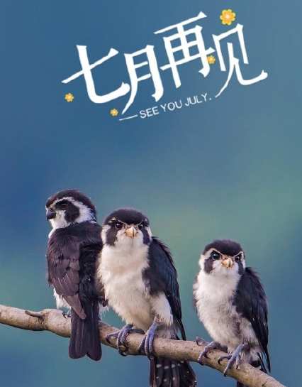 七月再見好說說朋友圈2018 有關七月再見的句子心情