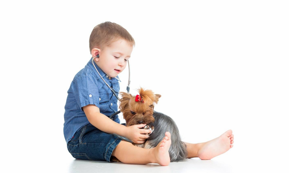 2018八月出生的寶寶如何取名 2018年狗年8月出生寶寶起名大全分析 2018八月出生的寶寶如何取名 2018年狗年8月出生寶寶起名大全分析