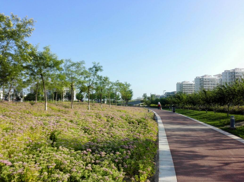 8月你好7月再見的早安心語 8月你好的心情句子圖片2018