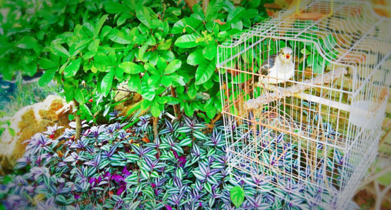 8月你好7月再見的早安心語 8月你好的心情句子圖片2018