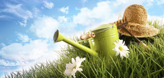 八月來了的勵志正能量心情句子 2018到八月了的圖片感慨說說