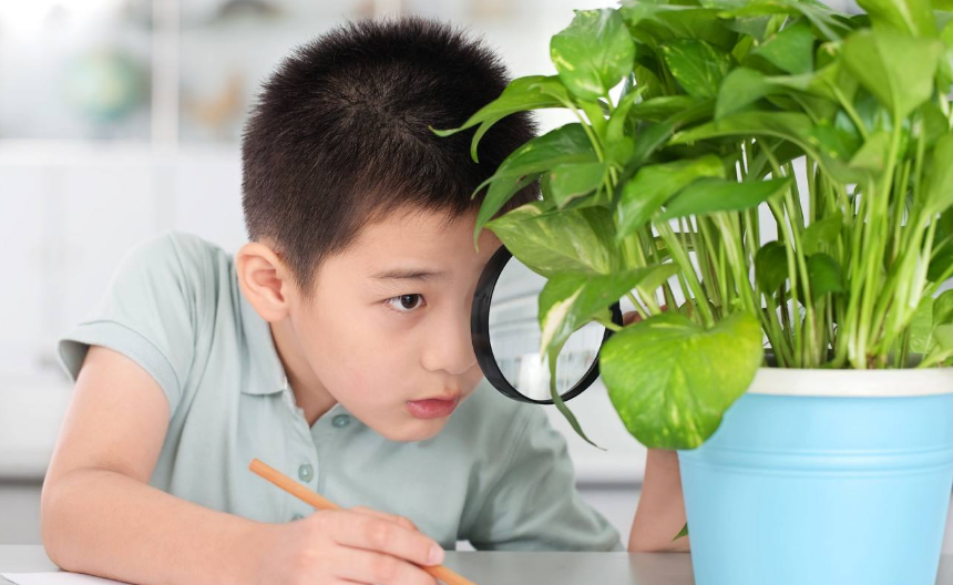 寶寶愛撿小石頭昆蟲怎么辦 孩子細微事物敏感期怎么做比較好