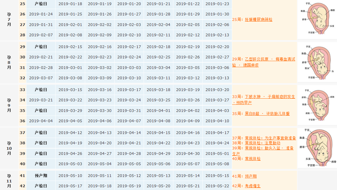 2018末次月經8月2日預產期是什么時候 末次月經算完整產檢表