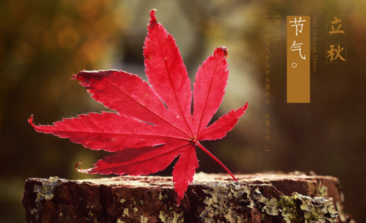 2018立秋依然熱的搞笑心情說說 立秋還熱幽默搞笑的句子短語