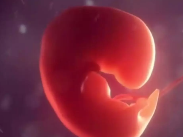 胚胎著床異常就是子宮外孕嗎 怎么提早發現子宮外孕2018