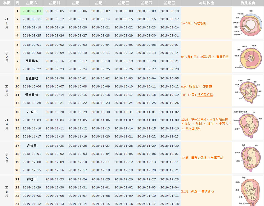 2018末次月經8月4日預產期是什么時候 月經不調怎么算預產期